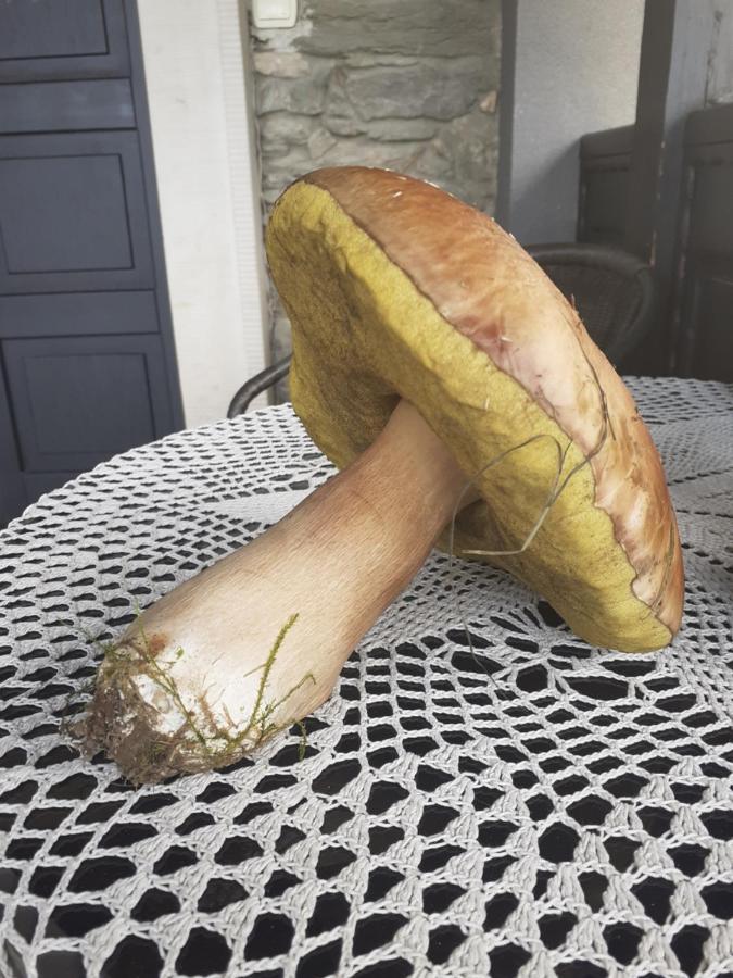 Agroturystyka Lysa Gora Jelenia Góra Exteriör bild